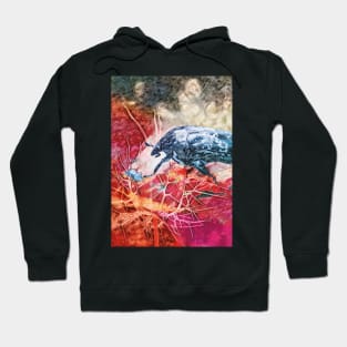 The Coloring of Beetles Hoodie